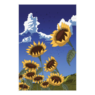 Sunflowers in the Summer Photo Print