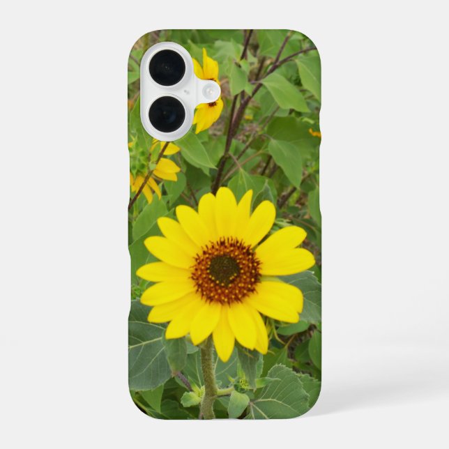 Sunflowers In The Wind,  iPhone 16 Case (Back)