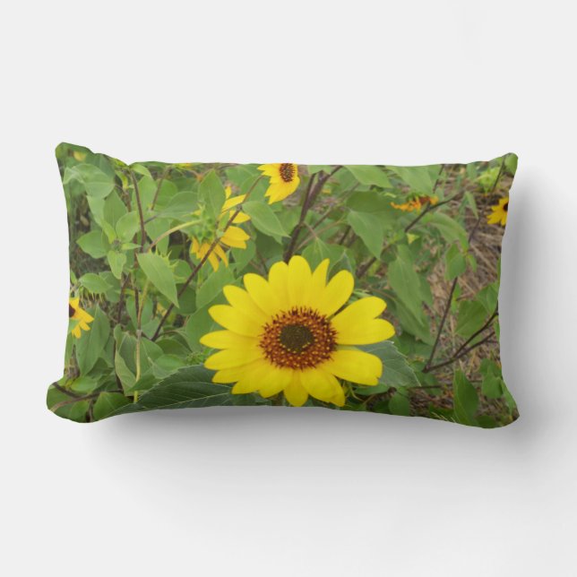 Sunflowers In The Wind, Lumbar Cushion. Cushion (Front)
