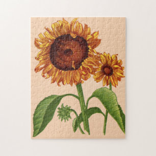 sunflowers jigsaw puzzle