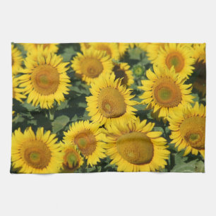 Sunflowers Kitchen Towel 16" x 24"
