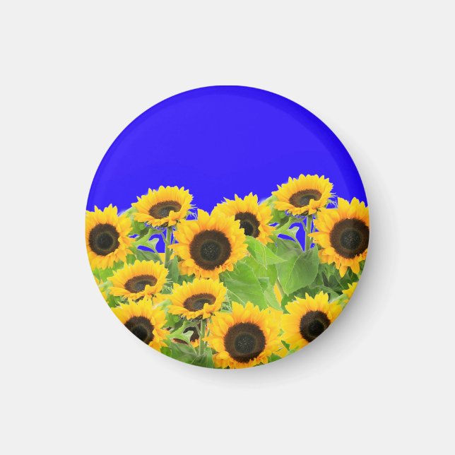 Sunflowers Magnet Ukraine Flag Colors Freedom (Front)