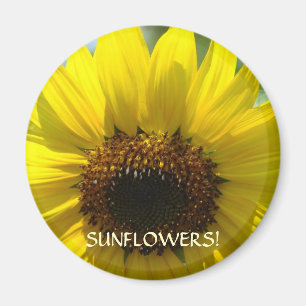 SUNFLOWERS MAGNETS Office gifts Sun Flower Magnet
