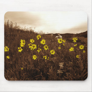 Sunflowers Mouse Pad