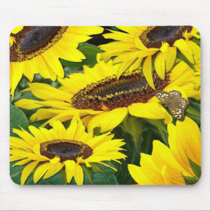 SUNFLOWERS ~ Mousepad