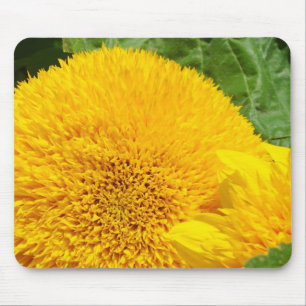 Sunflowers mousepad gifts Big Yellow Sunflower