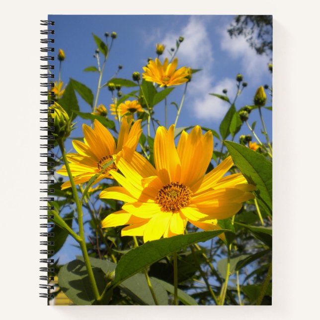 Sunflowers N Sky Wrapped Canvas Notebook (Front)