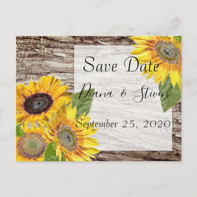 Sunflowers on a background of tree bark postcard (Front)