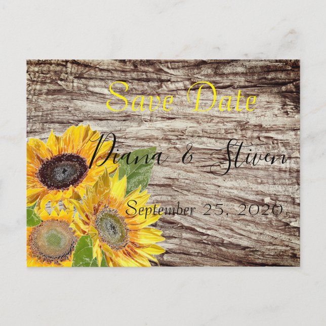 Sunflowers on a background of tree bark postcard (Front)