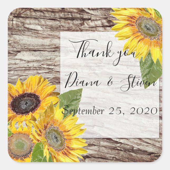 Sunflowers on a background of tree bark postcard square sticker (Front)