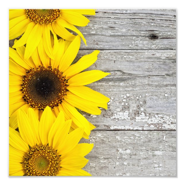 Sunflowers on a Table Photo Print (Front)