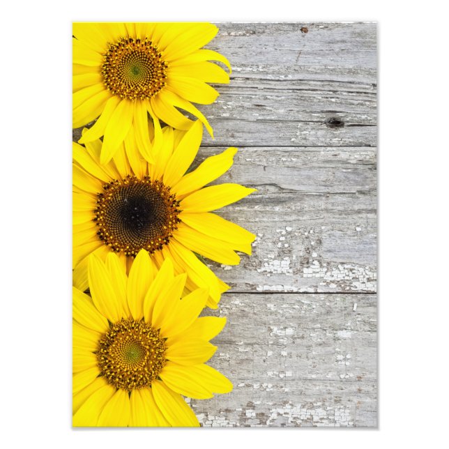Sunflowers on a table photo print (Front)
