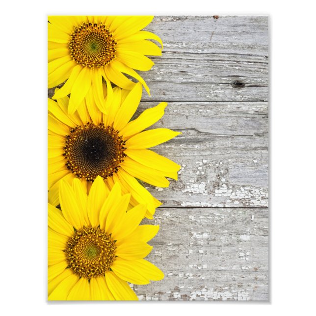 Sunflowers on a Table Photo Print (Front)