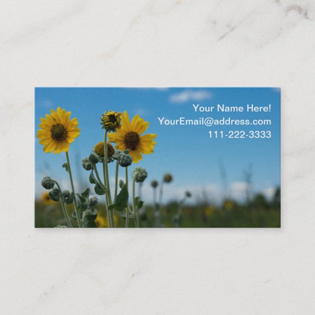 Sunflowers on Blue Sky Business Card. (2 sided) Business Card (Front)