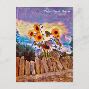 Sunflowers On Rock Wall Postcard