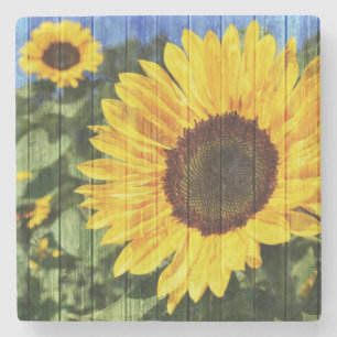 Sunflowers Painted Fence Stone Coaster