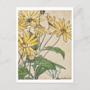 Sunflowers Painting by Hannah Borger Overbeck Postcard