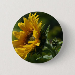 Sunflowers Petals Pollen Yellow 6 Cm Round Badge