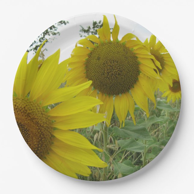 Sunflowers Photo Custom Paper Plates 9 in (Front)
