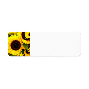 Sunflowers Photo Stationery Address Labels