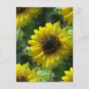 Sunflowers Postcard