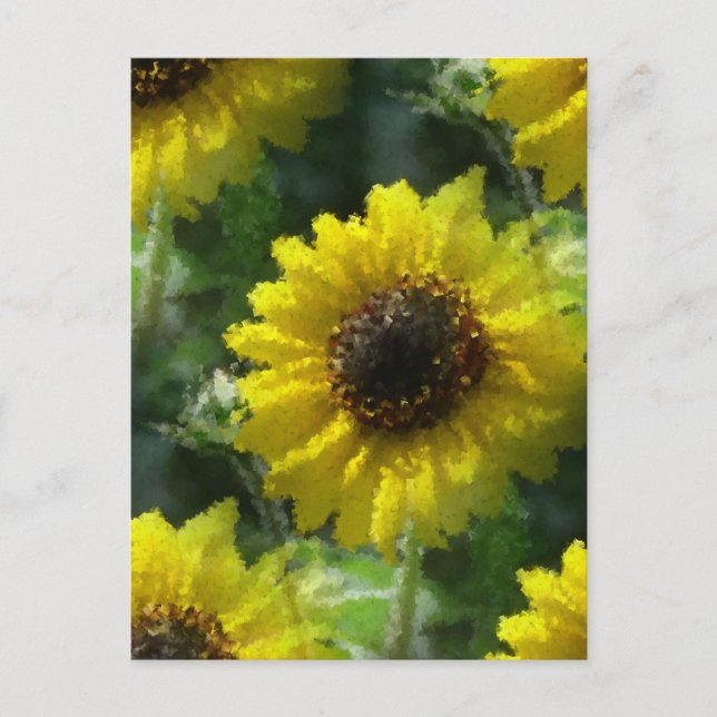Sunflowers Postcard (Front)