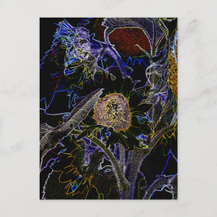 SUNFLOWERS POSTCARD