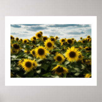 sunflowers poster