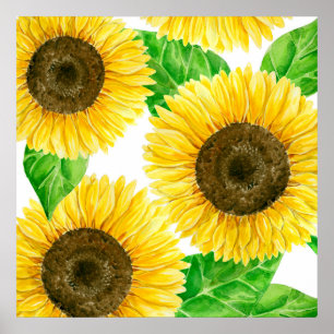Sunflowers Poster
