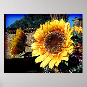 Sunflowers print