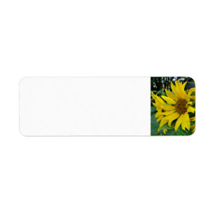Sunflowers Return Address Label