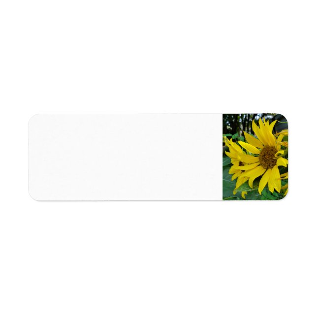 Sunflowers Return Address Label (Front)