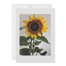 Sunflowers simple note card for handwritten