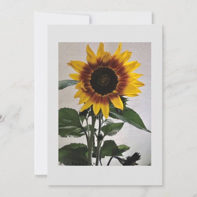 Sunflowers simple note card for handwritten (Front)