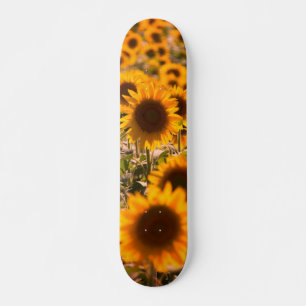 Sunflowers Skateboard