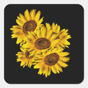 Sunflowers square sticker