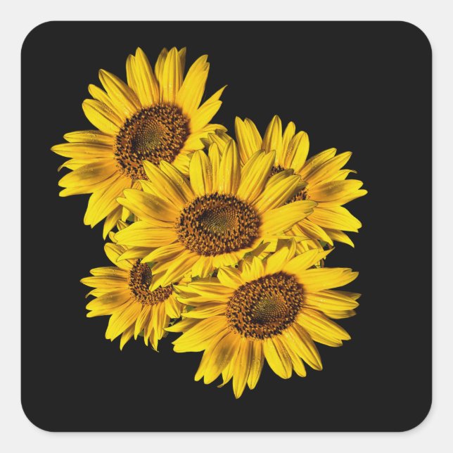 Sunflowers  square sticker (Front)