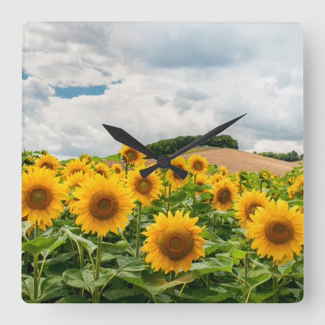 Sunflowers Square Wall Clock (Front)
