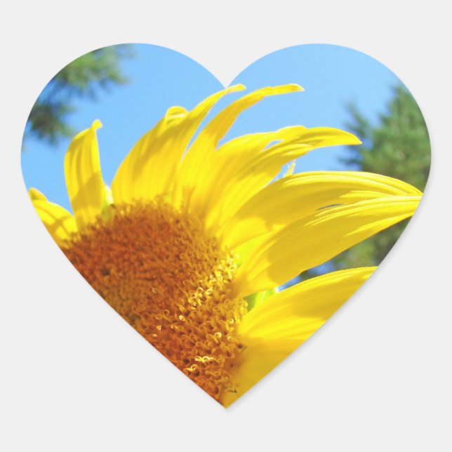 Sunflowers stickers Invitation Seals Heart Shape (Front)