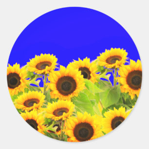 Sunflowers Stickers Ukrainian Flag Colours Freedom