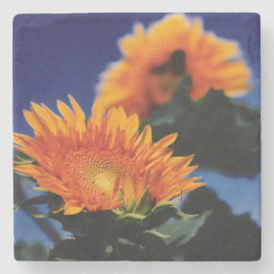 Sunflowers Stone Coaster