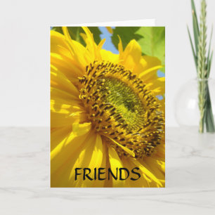 SUNFLOWERS SUN FLOWERS GREETING CARDS NOTE CARD