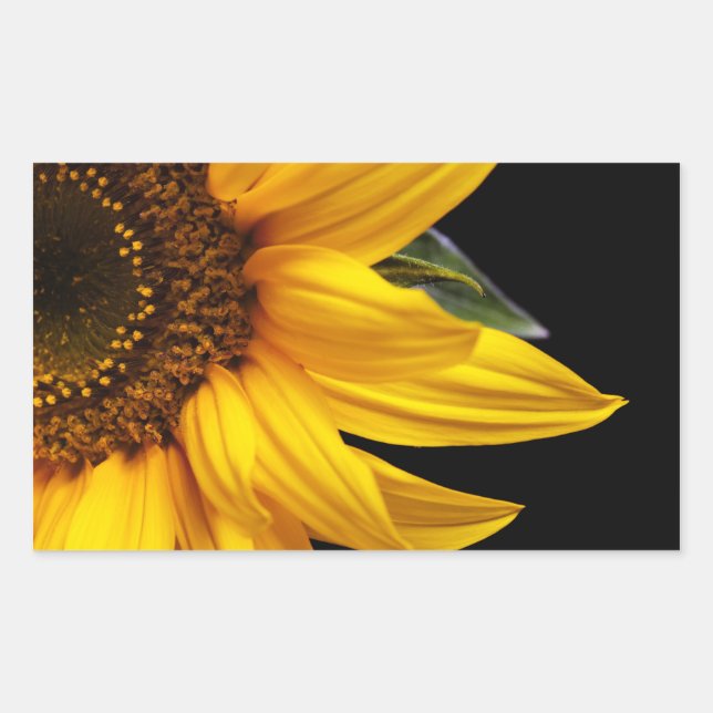 Sunflowers - Sunflower Customised Template Blank Rectangular Sticker (Front)