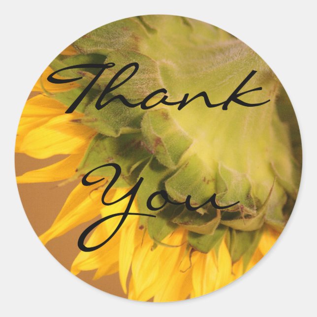 Sunflowers, Thank You Classic Round Sticker (Front)
