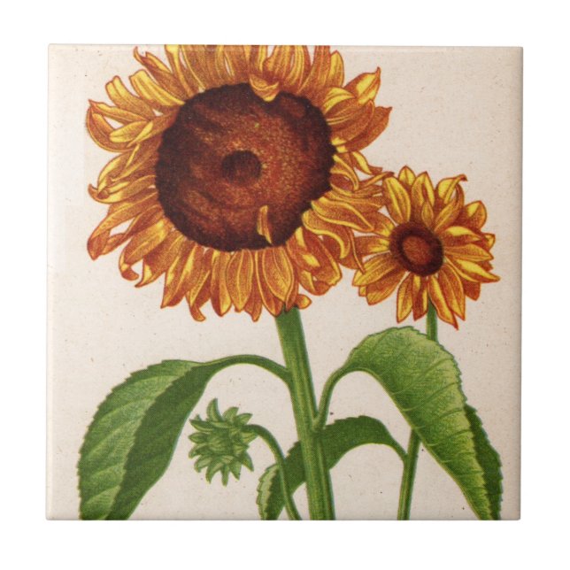 sunflowers tile (Front)