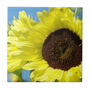 Sunflowers Tile art gifts Yellow Floral Sunflower