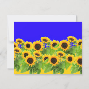 Sunflowers - Ukrainian Flag Peace Freedom Ukraine  RSVP Card