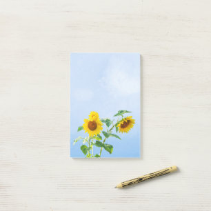 Sunflowers under Blue Sky Post-it Notes
