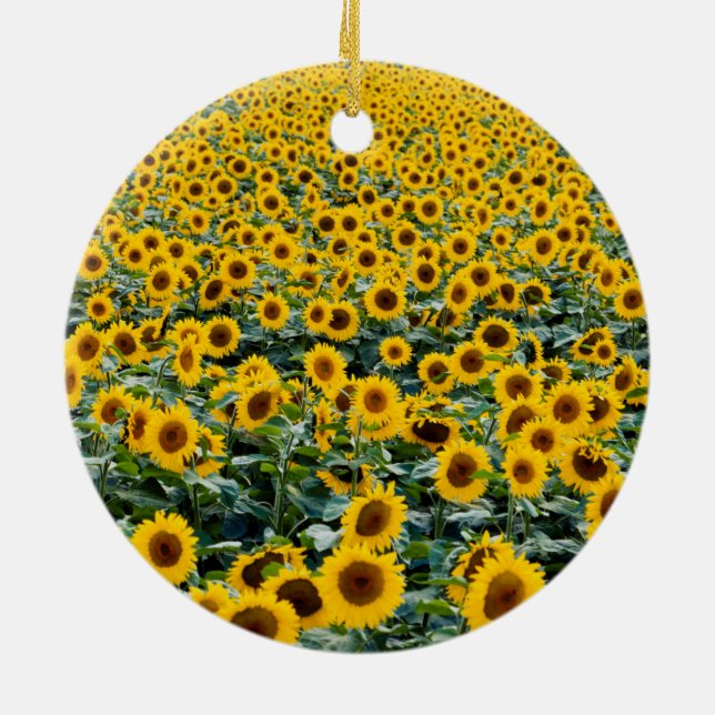 Sunflowers, Wisconsin field Ceramic Ornament (Back)