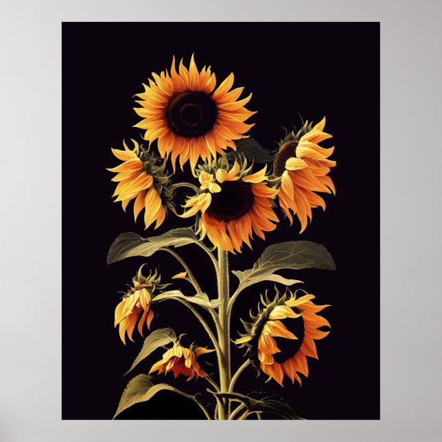 SUNFLOWERS WITH GREEN LEAVES IN BLACK POSTER (Front)